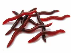 Behr Imitatie Rode Worm