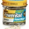 Berkley Powerbait Micro Power Maggots